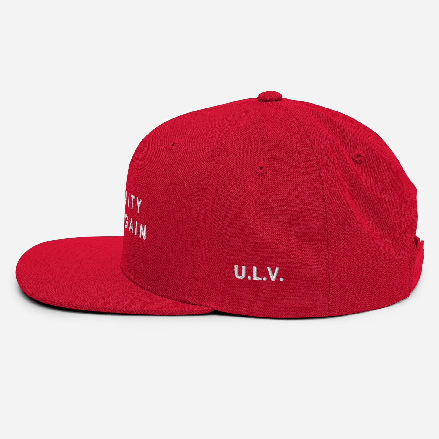MAKE UNITY GREAT AGAIN CAP